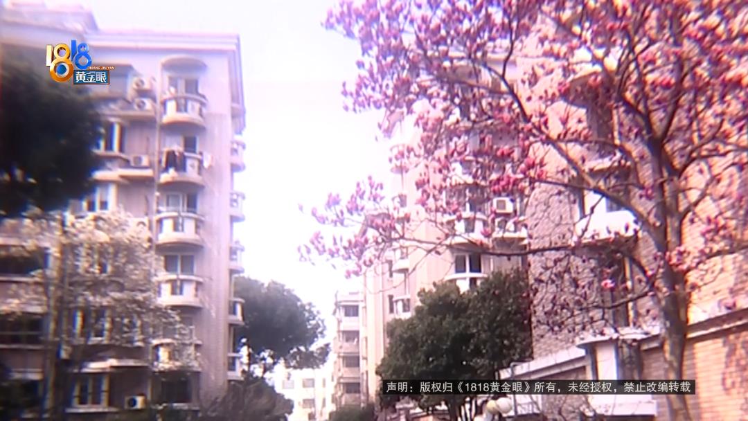 DƬ